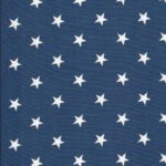 Navy Stars